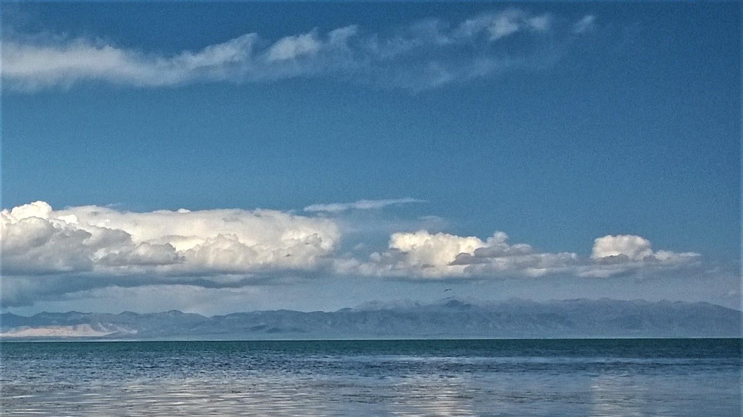 股价|同频当然好，却无需强求