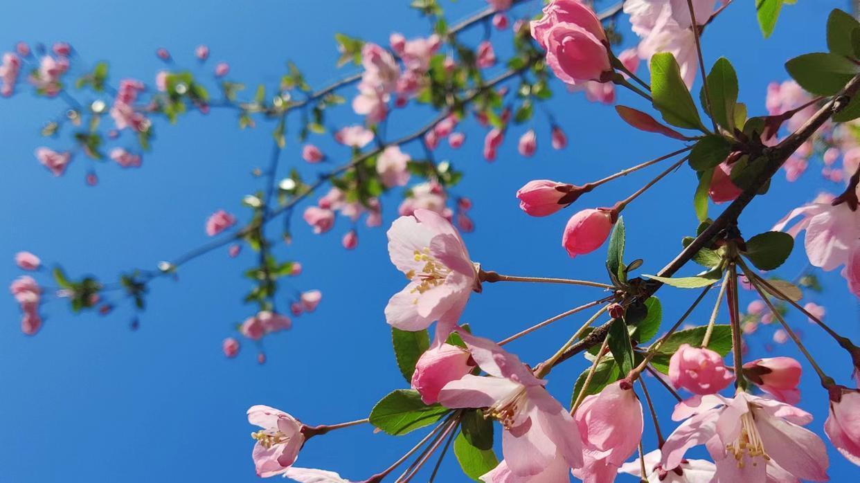 跳槽|为什么越有能力的人越容易离职？