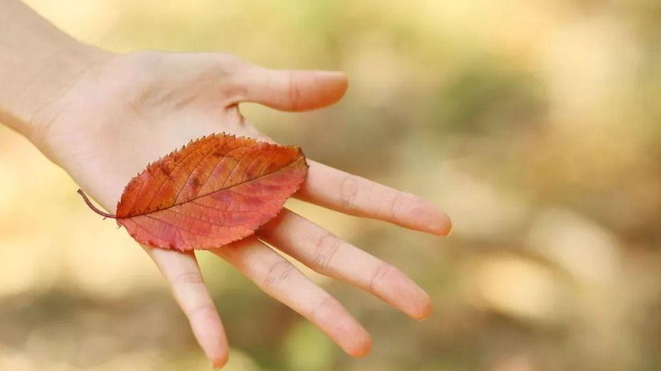 |在单位不能犯的3个大忌