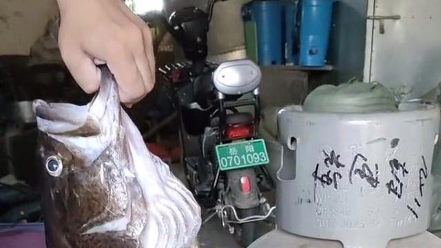 海钓|长江禁渔后鱼类“膨胀”了？湖南男子钓获巨型鳜鱼，体长70公分