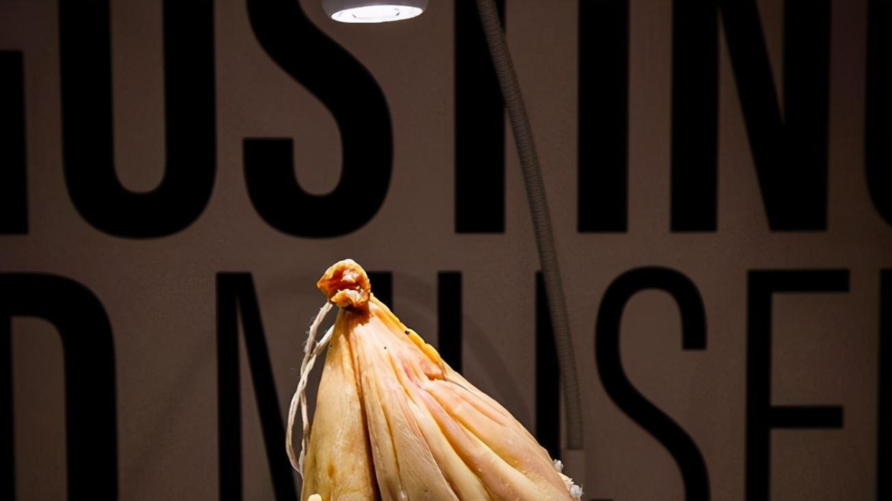 昆虫|瑞典的“恶心食物博物馆”展品有80种，中国的好几款食物也被展出