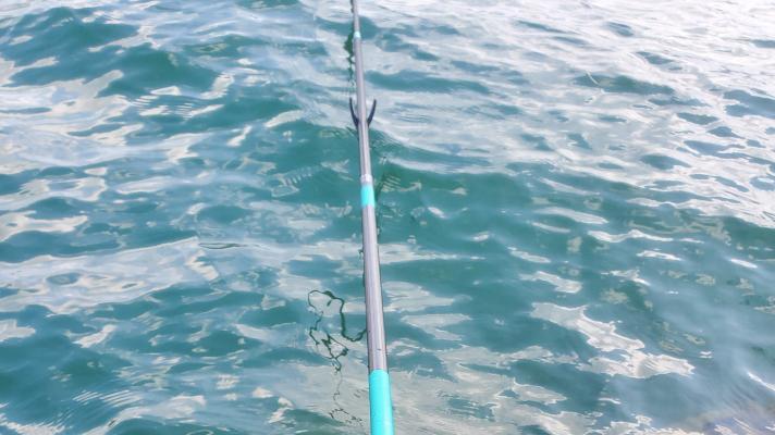 鲫鱼|离开鱼竿价格谈性能，算不算耍流氓？