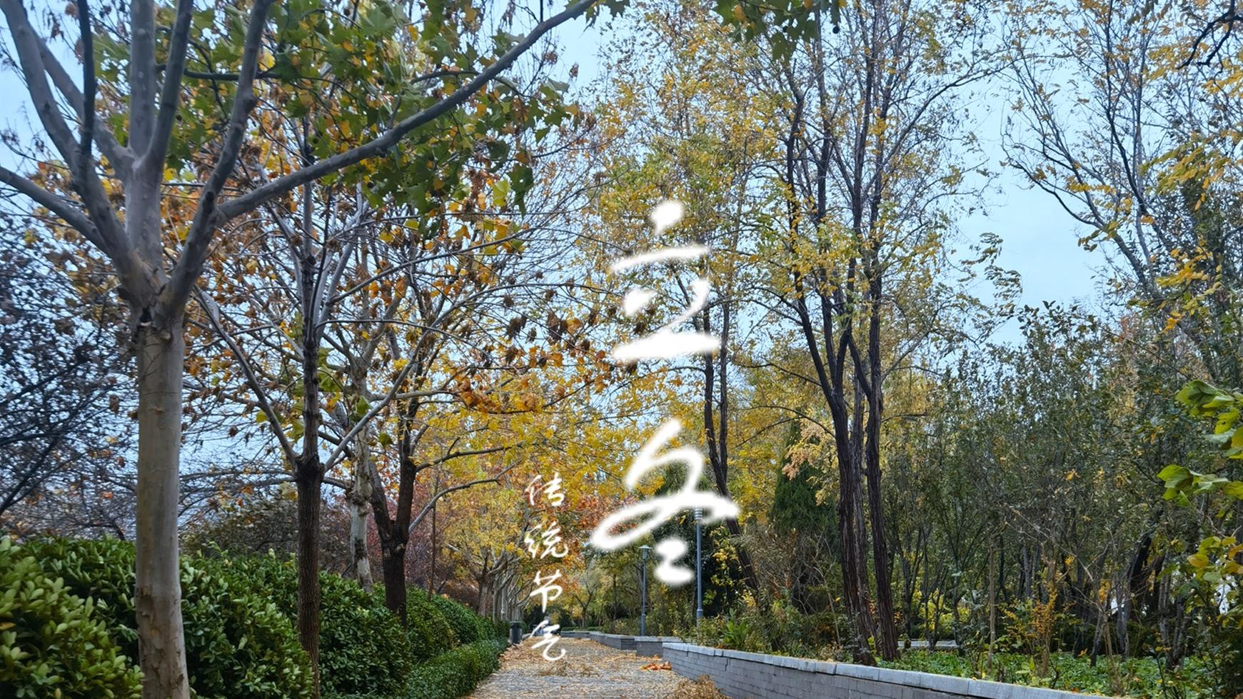 立冬|明日立冬，记得“吃4样，做1事”御寒保暖寓意好，别忘老传统！