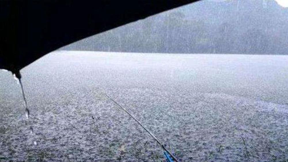 |春季野钓，不宜出门的3种天气，多高明的技术也要“空军”