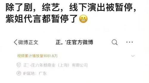 潘晓婷|网曝：杨紫疑被约谈，所有活动都被暂停