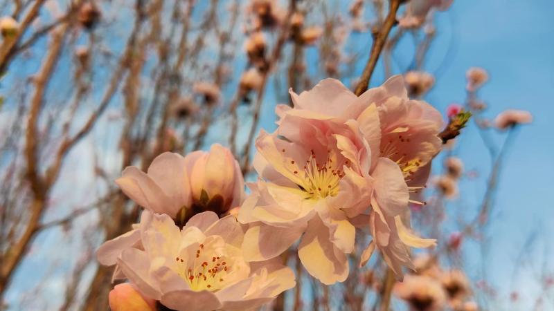 离职|你在职场上受了委屈就要离职吗？