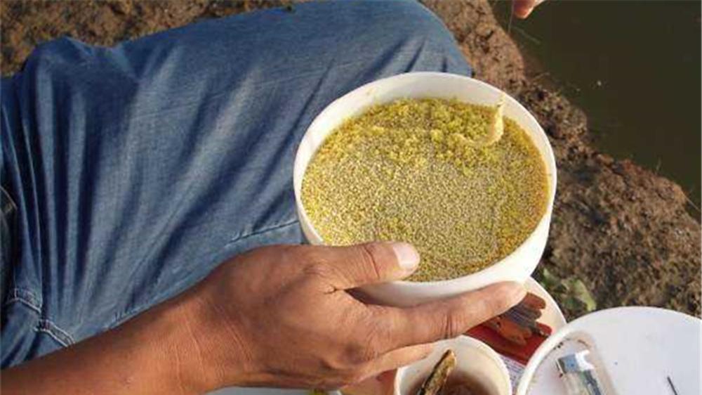 大江大河|晚春钓鲫鱼，最好用的一种钓法，最适合小中取大