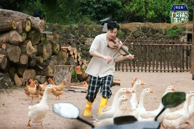 Angelababy|刘宪华回家啦！《向往的生活》回归熟悉的配方，蘑菇屋再现名场面