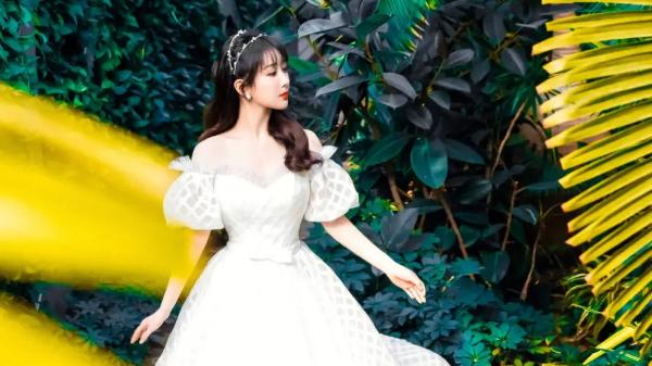 杨紫被谈话，中止所有工作，缘由揭露后引网友称赞