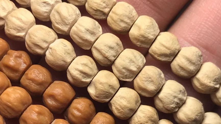 树籽手串的盘玩，干手汗手油手，哪种更适合盘红盘透