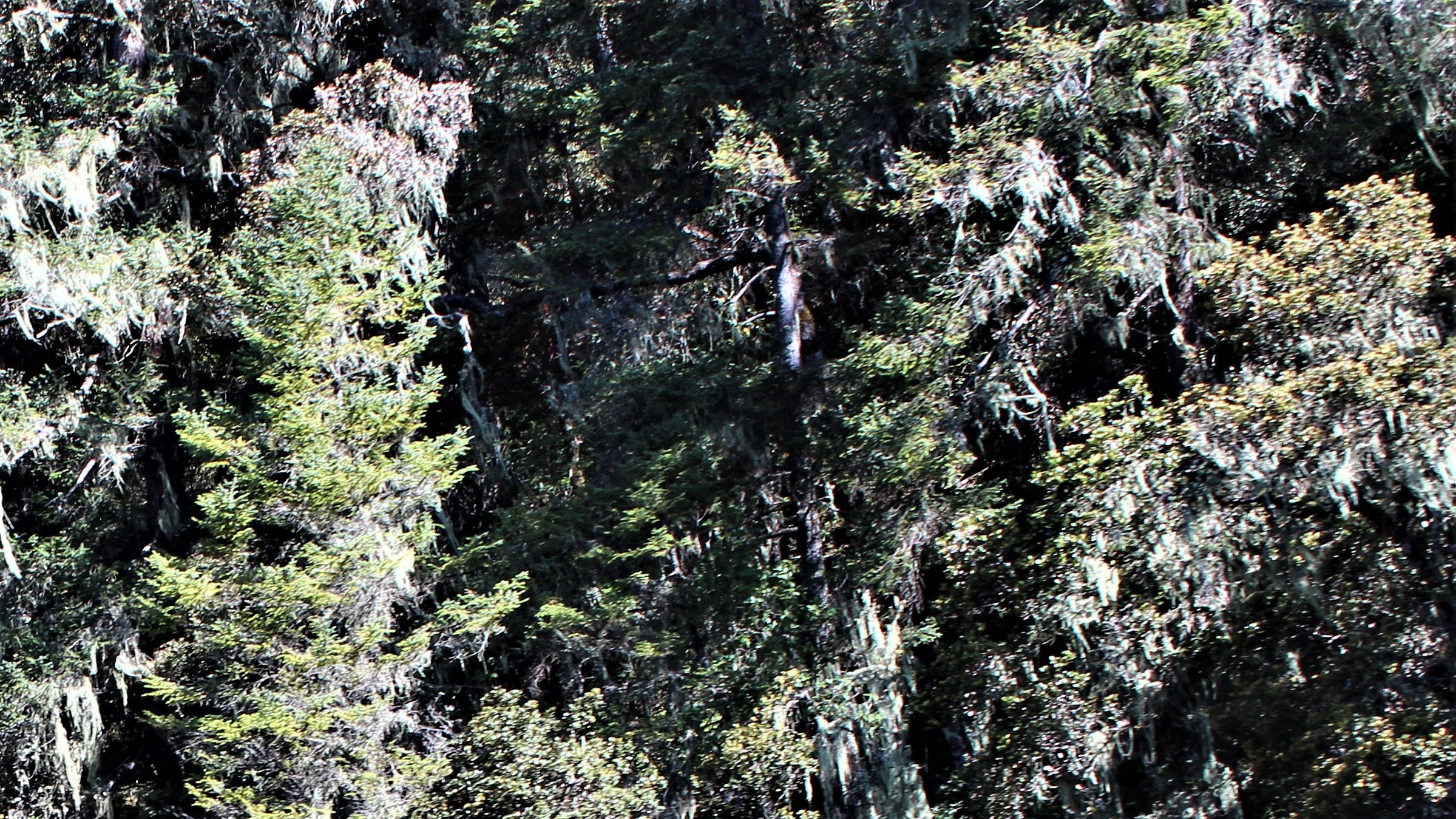 |人在职场，别给自己太多限制