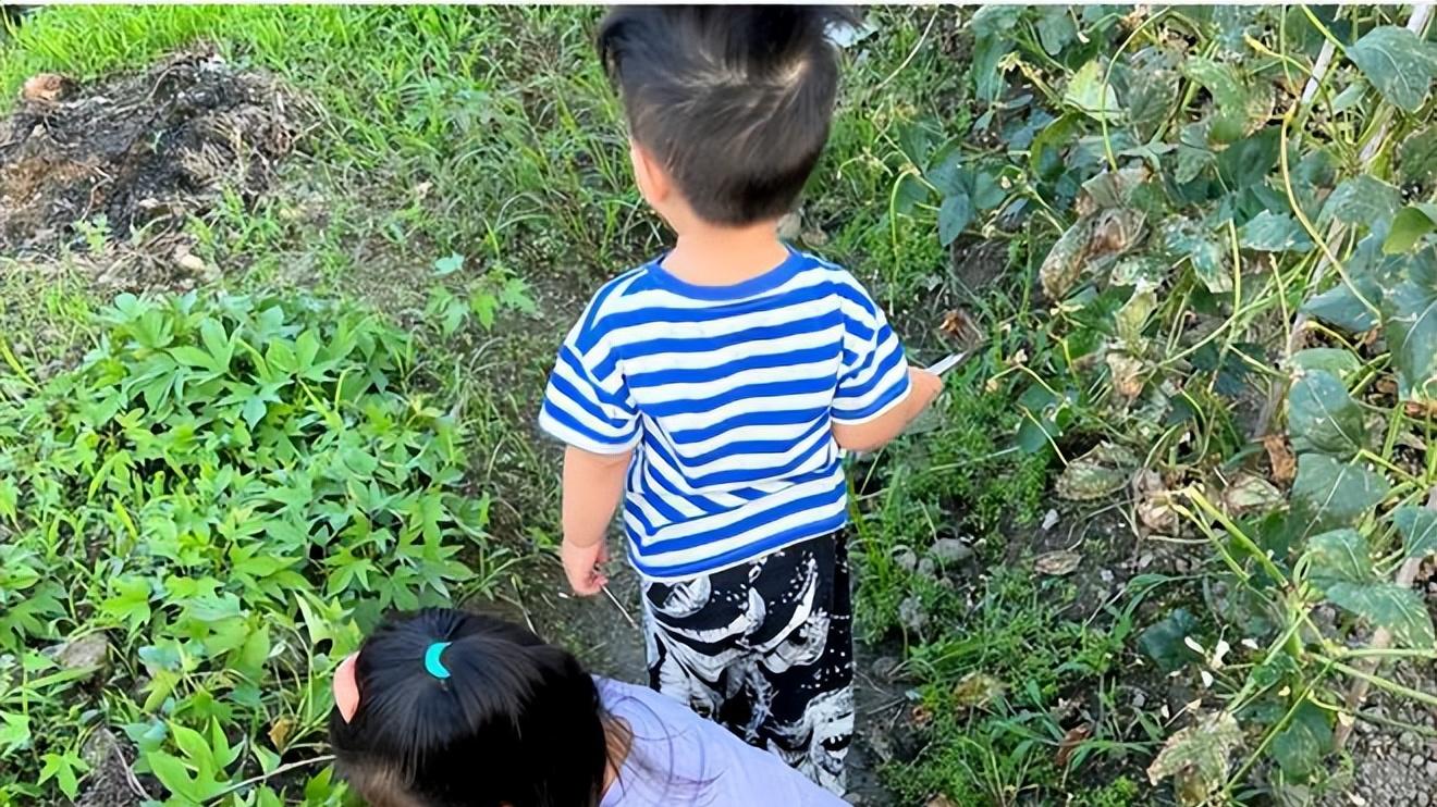 朱丹|朱丹周一围带娃出游，夫妻打扮粗糙毫无明星范，一人扛一娃超有爱