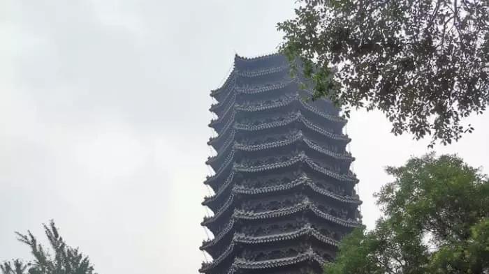 求职|北京大学一博导新年伊始失业, 发文求职遭嘲讽! 网友: 北大自掘根基