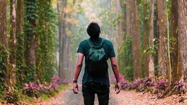 我寻觅我的踪迹 | 张晞哲