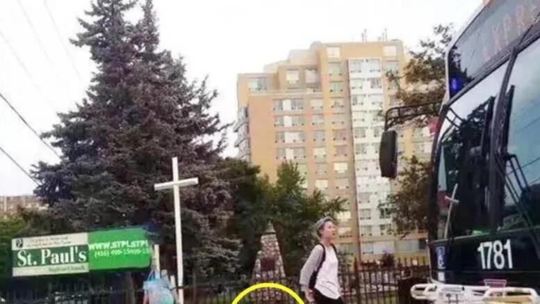 吴卓林|“小龙女”吴卓林加拿大罕露面，耳洞夸张很吓人，言行疑被控制