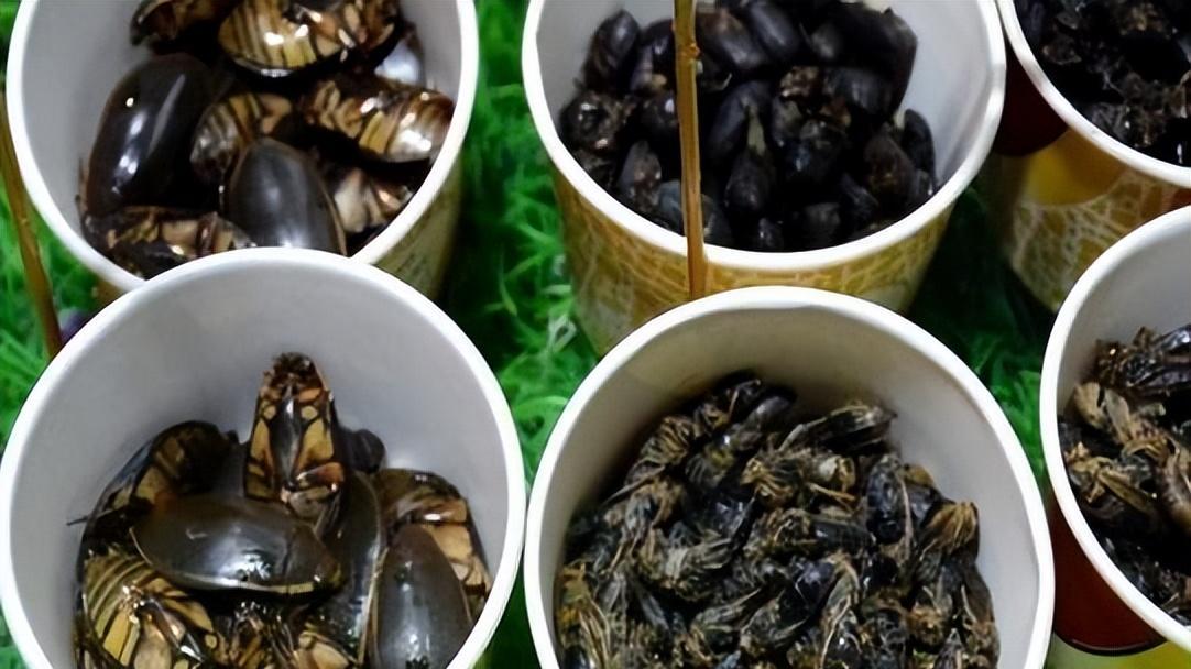 黑暗料理|盘点中国八大黑暗料理，一般人不敢挑战，吃过三种的直接封神