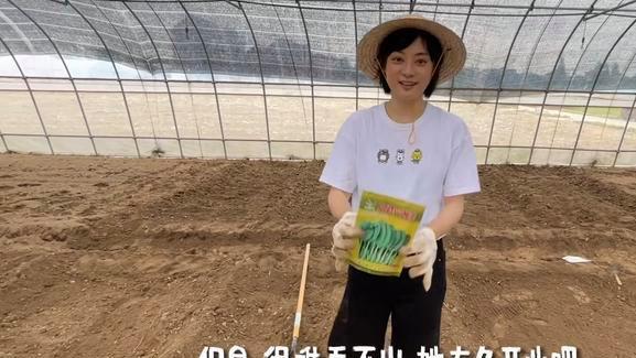 孙俪|孙俪承包大棚种菜，从明星变身农民，狠干苦力活卖力种菜