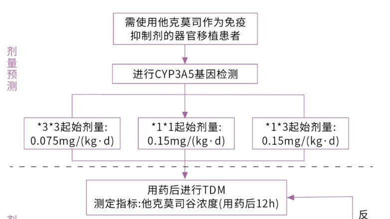 达安科普：分子诊断技术在免疫抑制剂使用上的应用