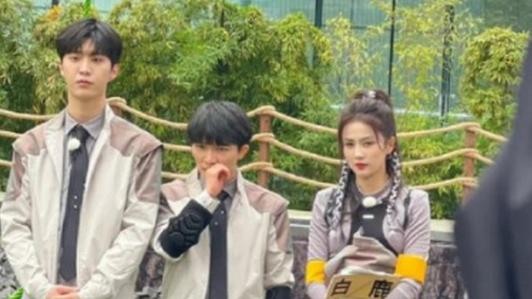 范丞丞|《奔跑吧》第七季，嘉宾们好拼，既消耗体力又考验智力