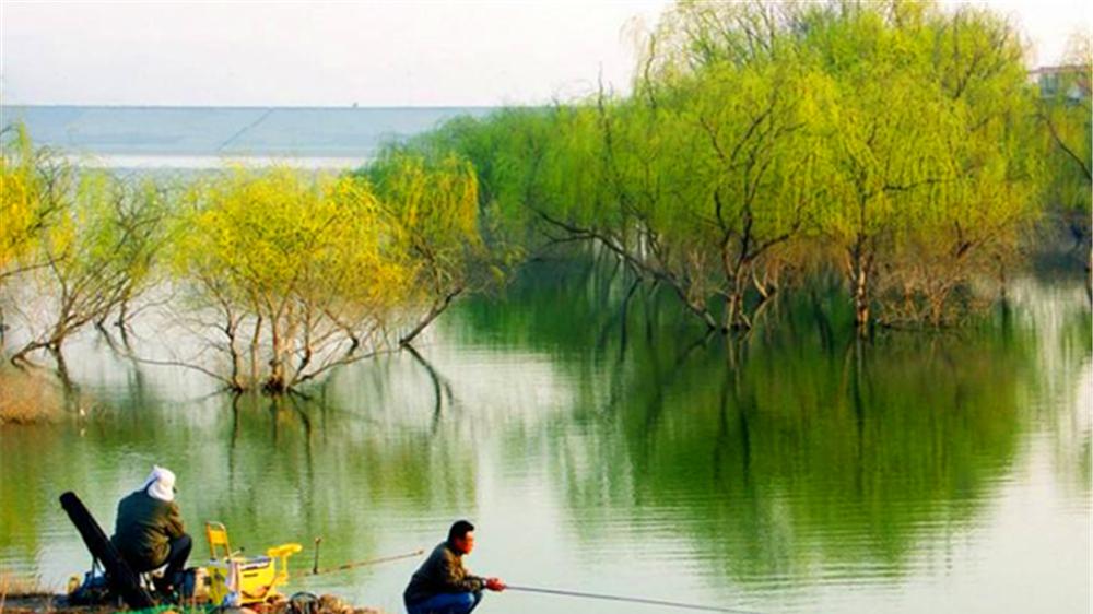 饵料|春季野钓鱼情变数多，掌握变化规律，随便钓也能爆护