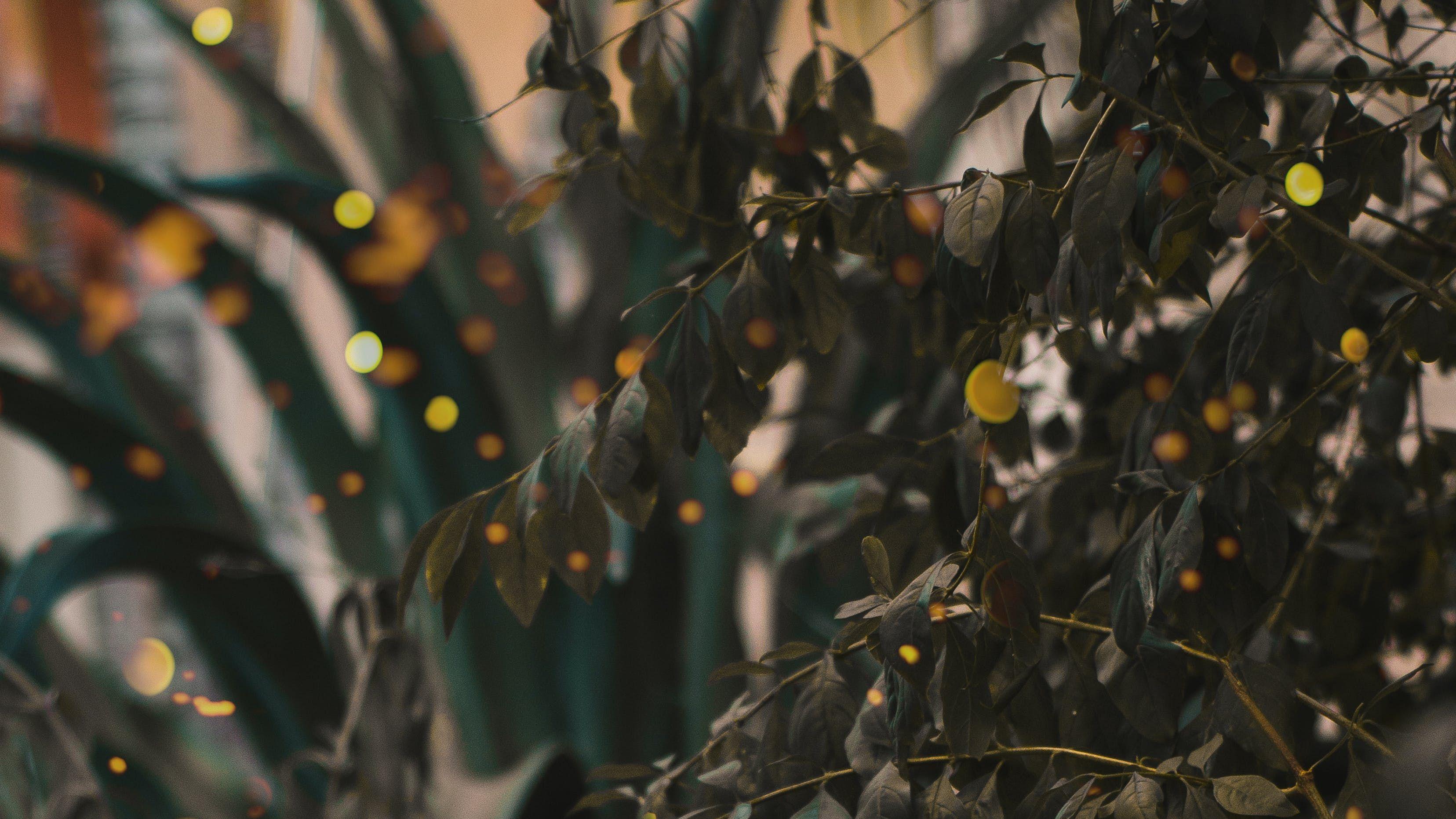 上升之势不可挡，明年这些星座福财如雨！