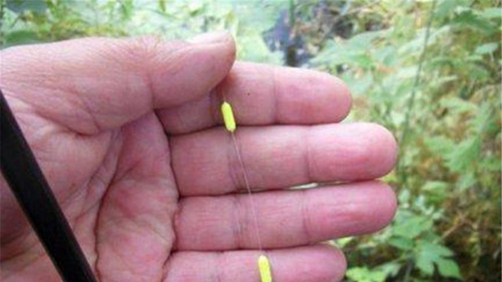 鲤鱼|春天野钓鲤鱼，这种钓法简单可靠，专攻大体型鲤鱼