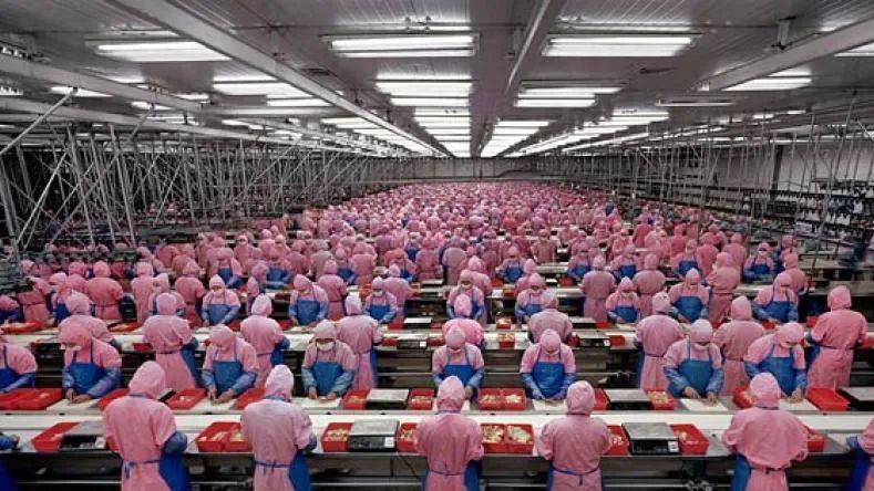 |312家日本企业想招募缅甸技术工人