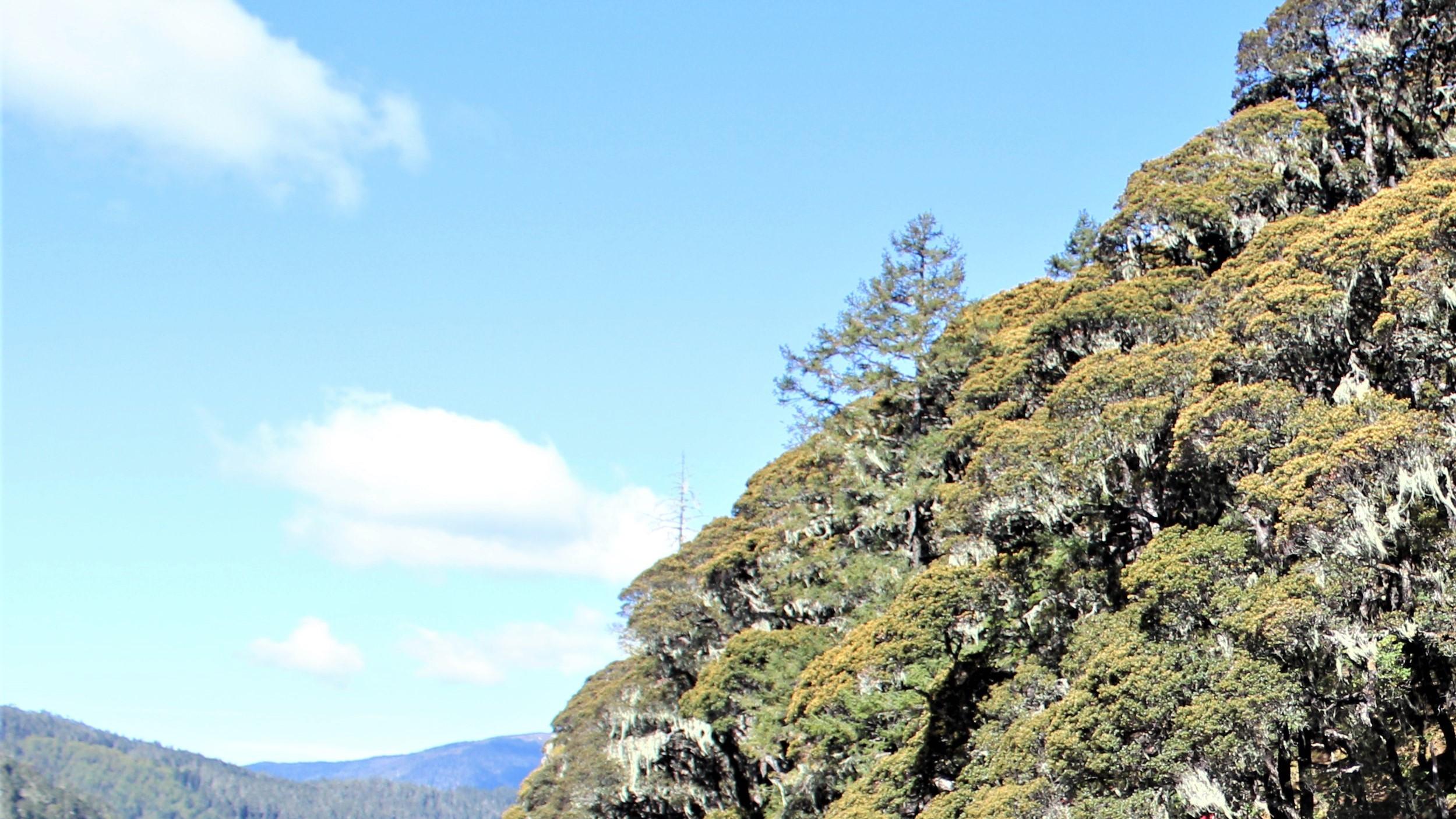 太岁|职场，也有习得性无助