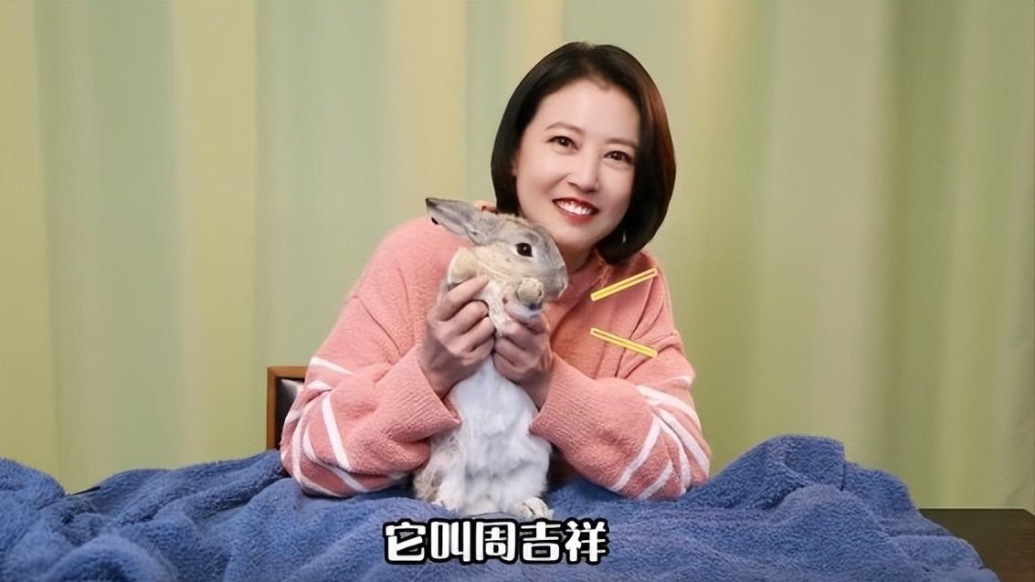 周海媚去世头七，港媒曝其4亿财产分配，兄弟姐妹表态不争抢家产