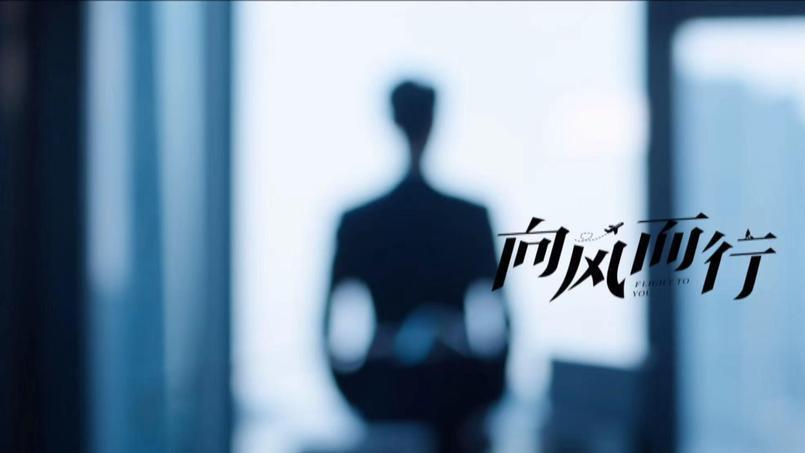 向风而行|《向风而行》结局秦玉华参加首飞，江韬callback，李语垳名花有主
