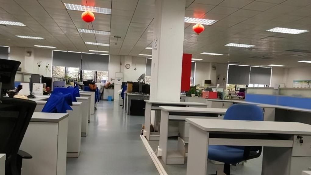 女子分享公司只有自己一员工：不是每月发工资，还以为老板已跑路