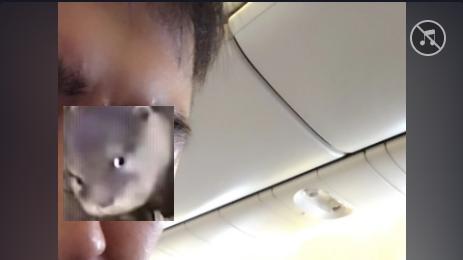 魏大勋|孙燕姿坐头等舱被偶遇，素颜出镜大长腿白到发光引热议