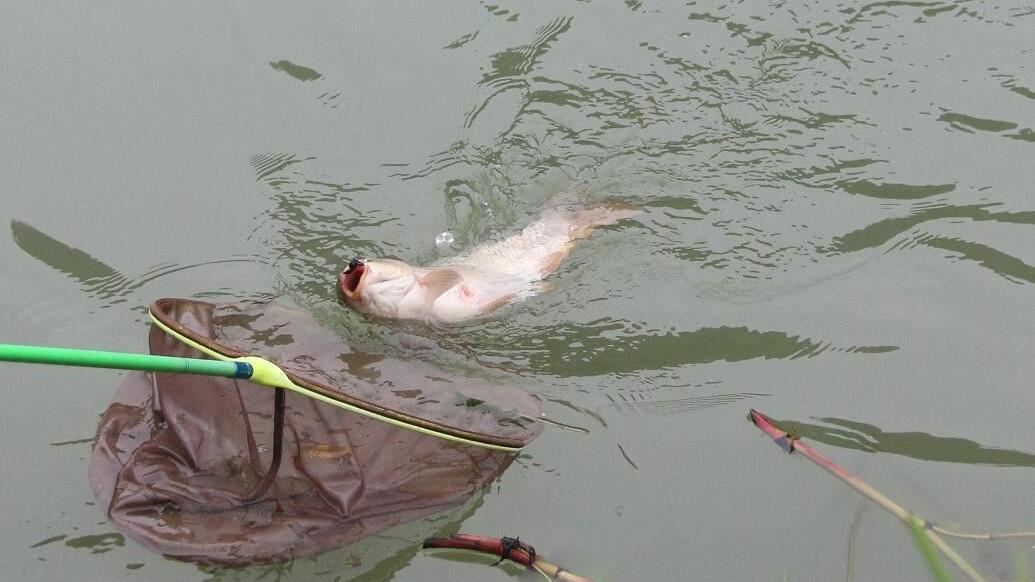 |钓鱼时浮漂动作明显，为何会空竿？高手讲解其中原因