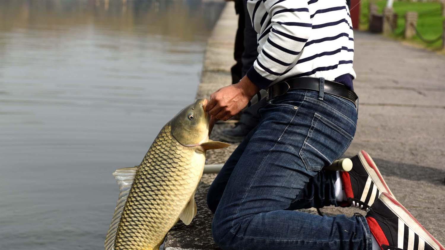 |清明节到了，钓鱼的最佳时节也随之到来，钓鱼前的4项准备工作
