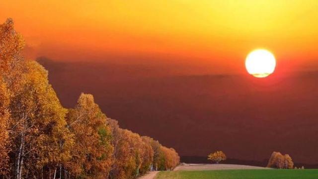 生肖|现在20年事业财运都很好的生肖