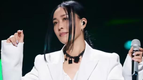 以那英为首的六位明星被整治，网友：罪有应得