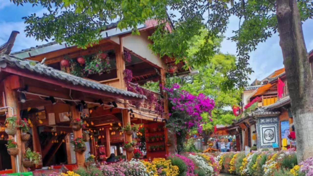 云南|云南人都喜欢吃的五道菜，本地人的爱不释手，外地人看了直摇头