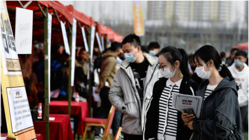 求职|文科就业率低至12%，大批文科生转行程序员，学文真就没出息吗？