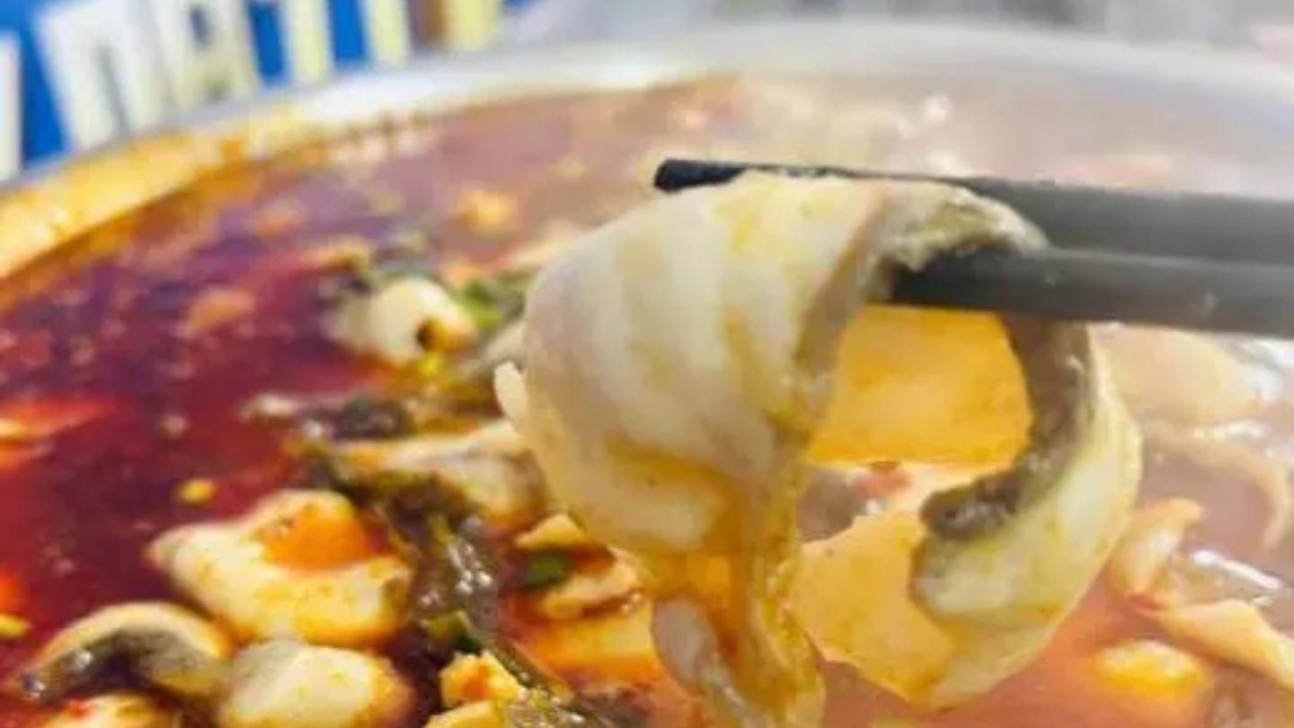 上海市|2个上海人开车4小时来浙江，点了3个菜，结账时确认3遍不敢相信