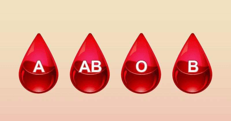 O型血|为什么O型血是“万能输血者”？
