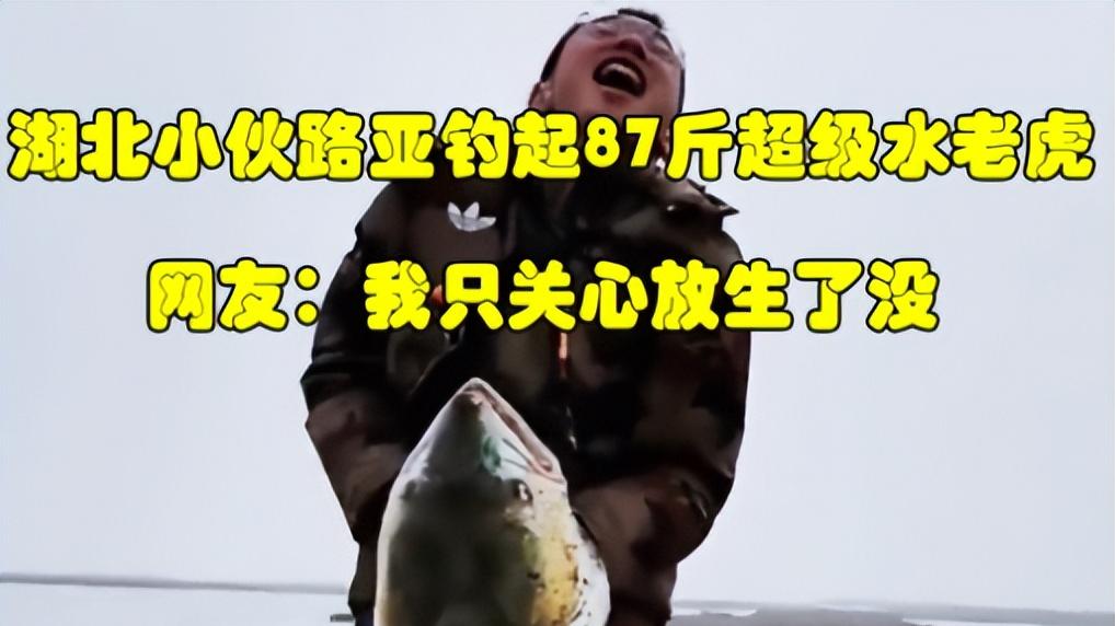 鳡鱼|87斤鳡鱼王出水! 巨型水老虎栽到铁板拟饵上, 网友却说: 赶快放生