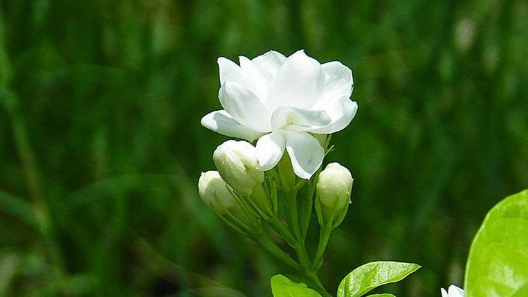 情商比较高，事业占优势的4个星座，竞争力越来越强