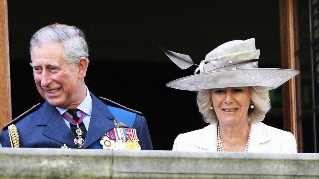 卡米拉和梅根闹离婚索要上亿：查尔斯慌了，安妮公主一箭双雕！