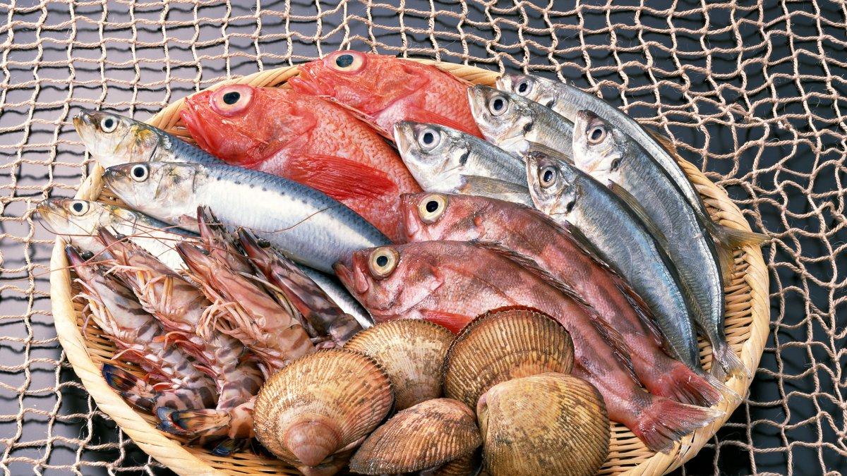 海鲜|为什么海鲜比肉还贵？明明肉只有那么一点，渔民：4个理由告诉你