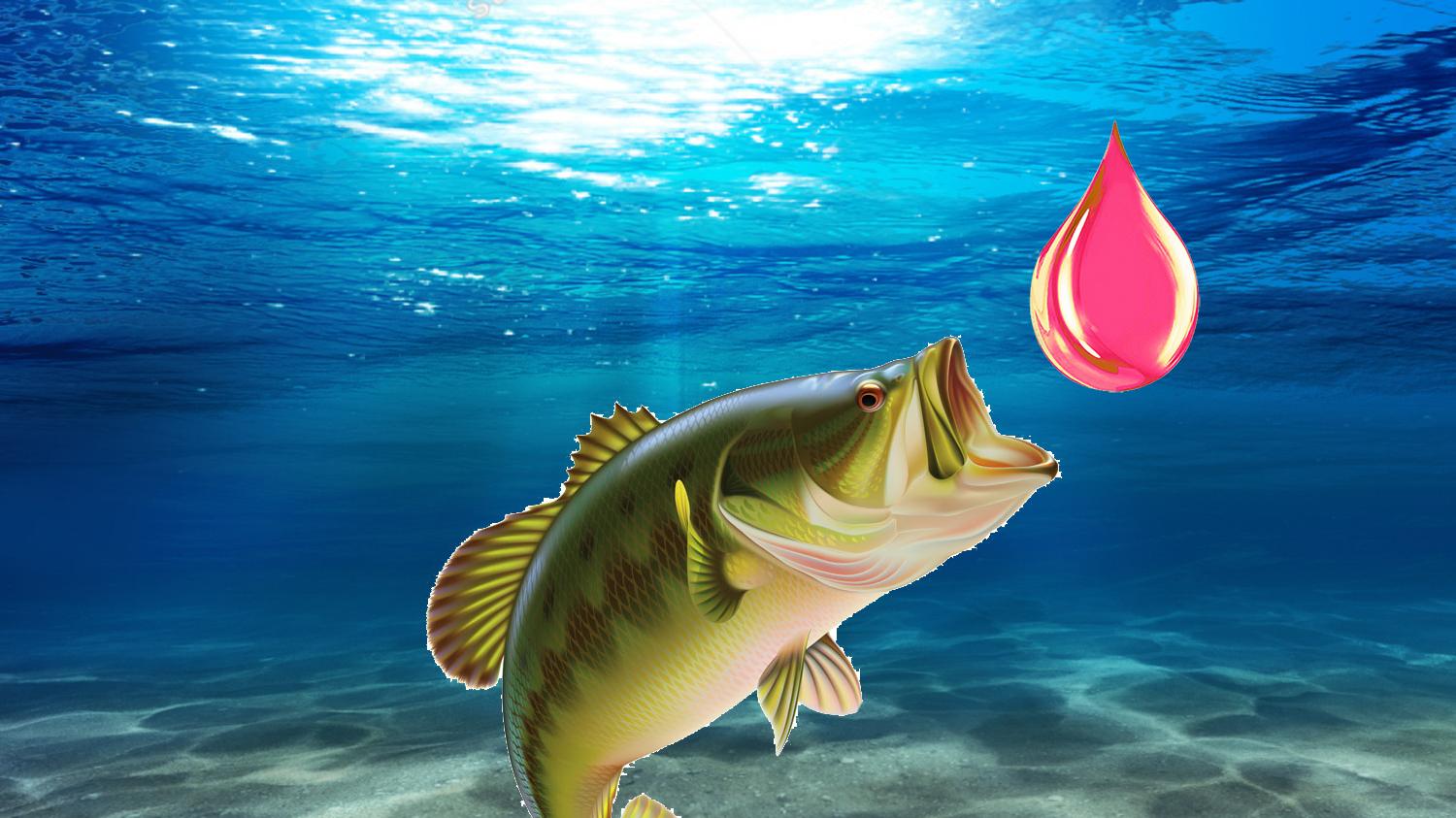 |鱼开口的4个前提条件，钓鱼时促进鱼开口的方法