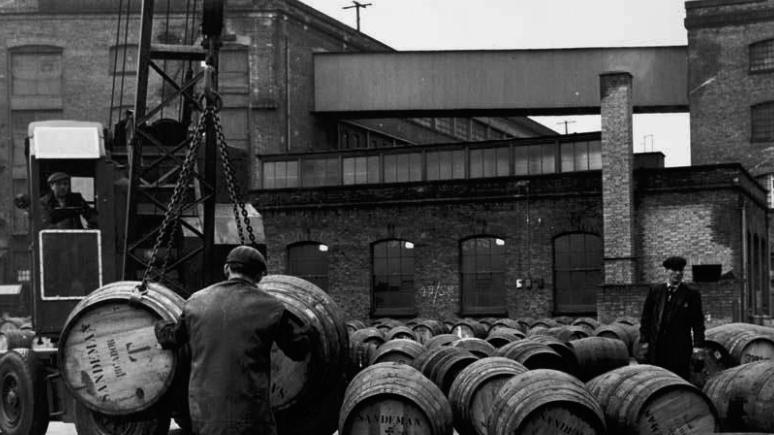 医妃难囚|一个合格的雪莉桶爱好者，该如何正确打开兔年？