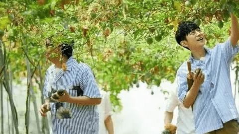 向往的生活|黄磊，何炅共同下厨，《向往的生活》，这是一次让人憧憬的晚饭。