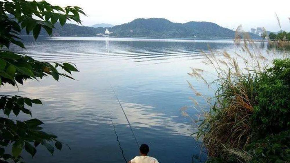 |夏天鱼寻凉，找这些“避暑”钓位，大鱼在这里成群