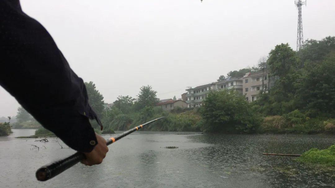 饵料|饵料里加点糖，鲫鱼鲤鱼疯狂咬？实际野钓可能会让你失望！