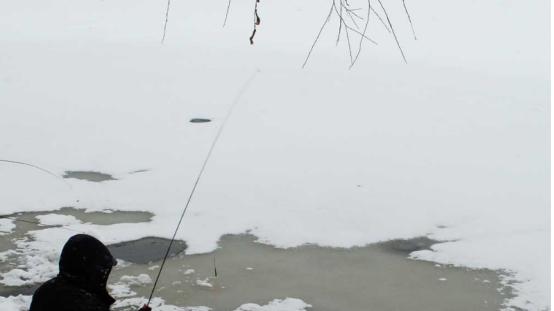 别被误导了！冬季钓鱼，几十公分水深的浅滩也能轻松擒获大板鲫！
